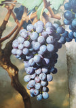Hyperrealism Art #HRA019
