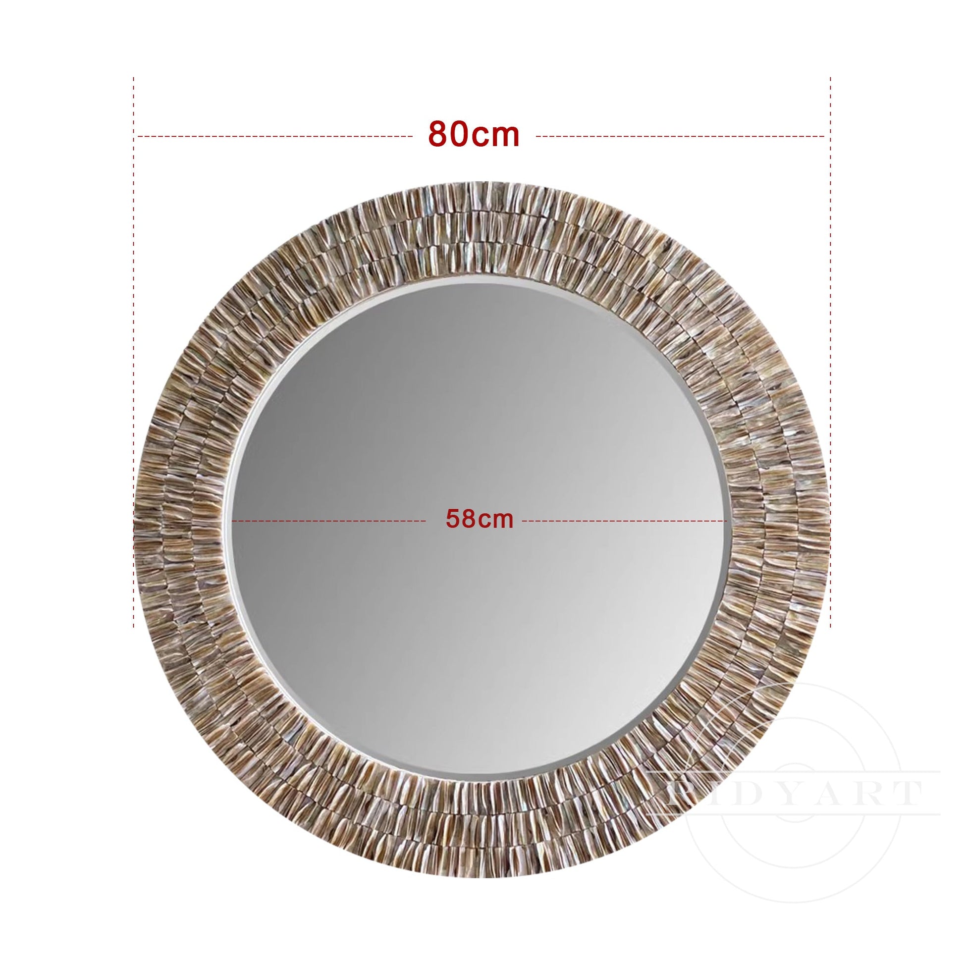 Round shells Mirror decor