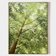 Landscape Canvas Art #LCA000
