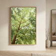 Landscape Canvas Art #LCA000