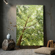 Landscape Canvas Art #LCA000