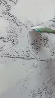 Landscape Canvas Art #LCA009